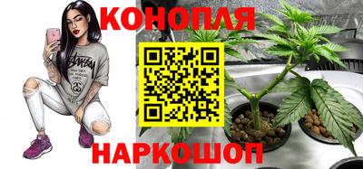 винт Краснодар
