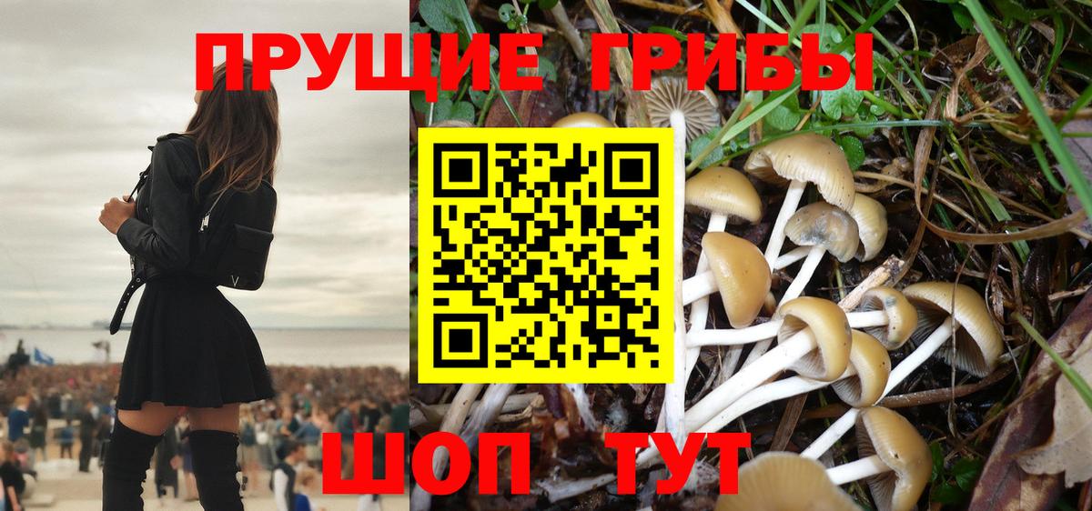 Псилоцибиновые грибы Cubensis  Вход с VPN  Касимов  Галлюциногенные грибы мухоморы 